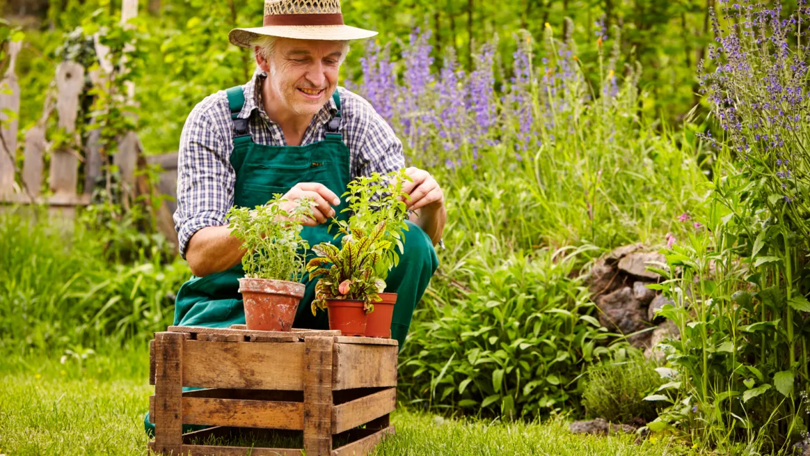 Côté Jardin